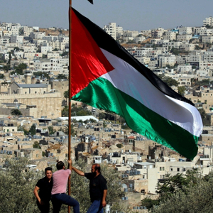 Fundraising Page: Alison Shields